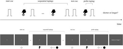 Robust Temporal Averaging of Time Intervals Between Action and Sensation